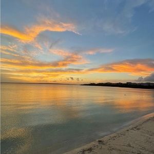 Meet your Posher, Judith